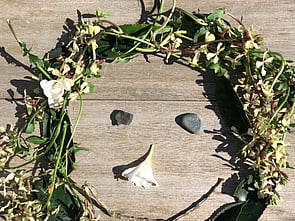 NATURE PORTRAITS Y1/2