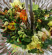 Salad of Imagination