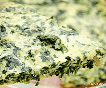 Silverbeet & Cheese Crustless Quiche