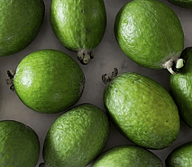 Feijoa Cordial