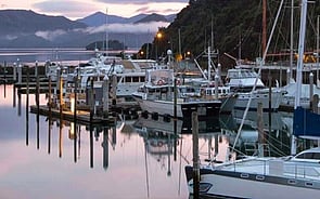 Medicine Supplies to Ships