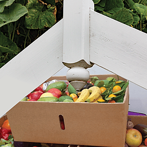 Food donations Cambridge