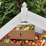 Food support Cambridge. Cambridge Community House