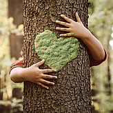 Family harm / family violence help Cambridge. Cambridge Community House