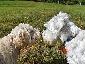 REGISTER FOR YOUR FREE TRIAL!