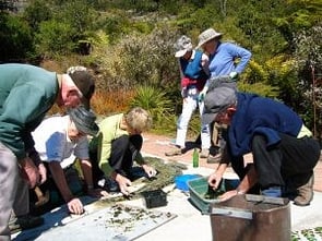 Volunteers Making Gecko Mosaic – 2010