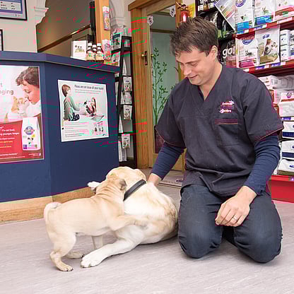 Making A Difference To The Lives Of You & Your Animals | Animal Medical Centre | Johnsonville Vet
