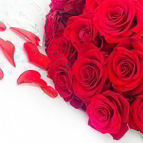 Premium NZ Red Roses