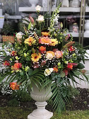 Send beautiful flowers to Red Beach, Orewa, Whangaparaoa, Silverdale, Hibiscus Coast and Gulf Harbour today by Flowers by Joanne