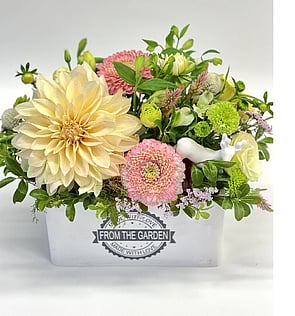 Designer Arrangement