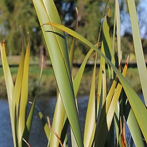 Success - Consider all actions and decisions in light of how they will support student, teacher, school, and community success.