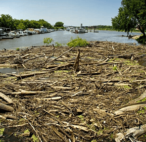 UDL - By Ann Edmundson & Lisa Webber (RTLB34)