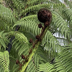 Collaboration - Use a consultative planning and decision-making process based on critical thinking and open communication.