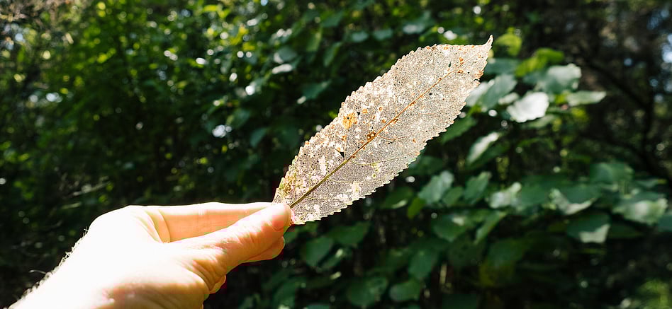 Bush Boardroom Hire - base package