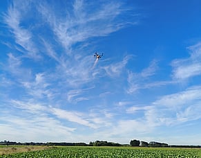 HubWatch &ndash; 13 February 2026