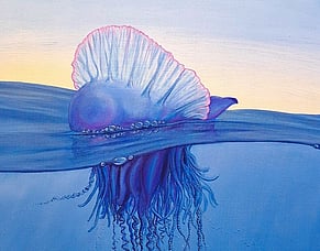 Embracing the Tides: Protecting Moana