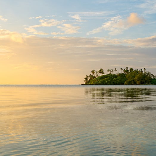 Cook Islands palm trees beach view