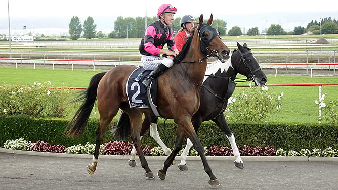 Diamond Jak returns victorious following the Listed Matamata Veterinary Services Kaimai Stakes (2000m).  - Photo: Kenton Wright (Race Images)