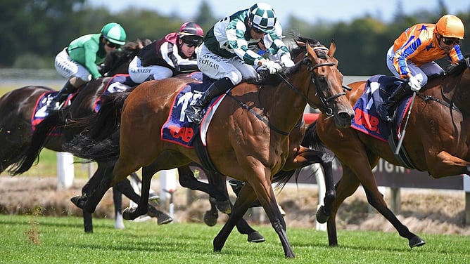 Autumn Glory winning the Gr.2 Legacy Lodge Waikato Guineas (2000m) at Te Rapa. -  Photo: Kenton Wright (Race Images)