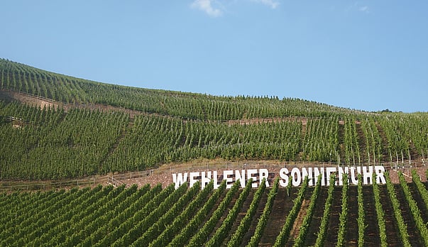 Will the real low alc' wine please stand up