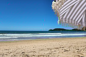 What If You Actually Had A Plan This Year?