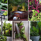 The Tropical-Kiwi Garden Cheat Sheet