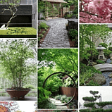 The Japanese Style Kiwi Garden Cheat Sheet
