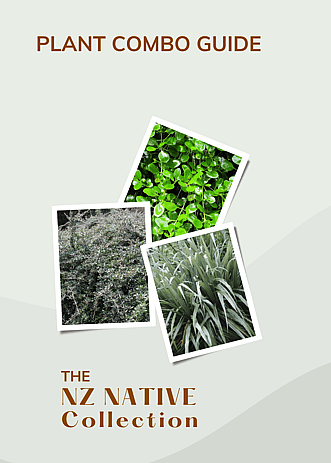 An ebook cover for a planting combination ideas book showing polaroid snaps of three New Zealand native plants. There's blue and gold writing to the bottom of the plant photos promoting the 3 plant combo pocket guide.