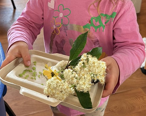 Infants and Toddlers