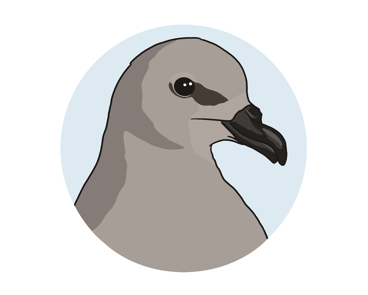 Western Bay Wildlife Trust logo