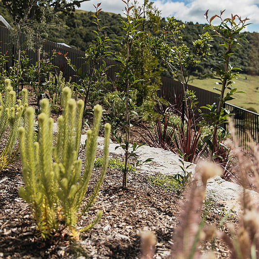 a Landscaped garden of natural plants by Ultrascape Landscaping