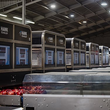 The Hawk Technology dual zone robotic apple packer uses AI computer vision technology