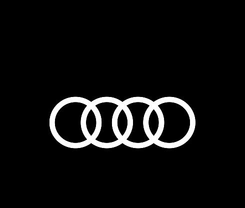 Audi Car Detailing
