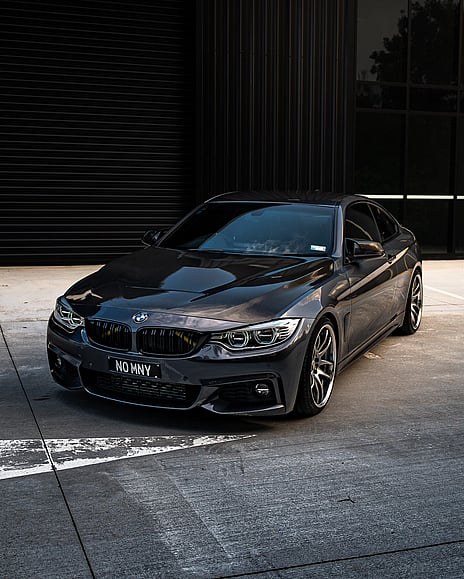 Paint Protection Services