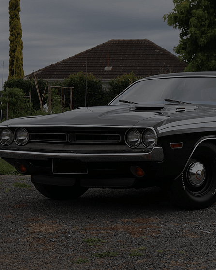 Matte Paint Protection