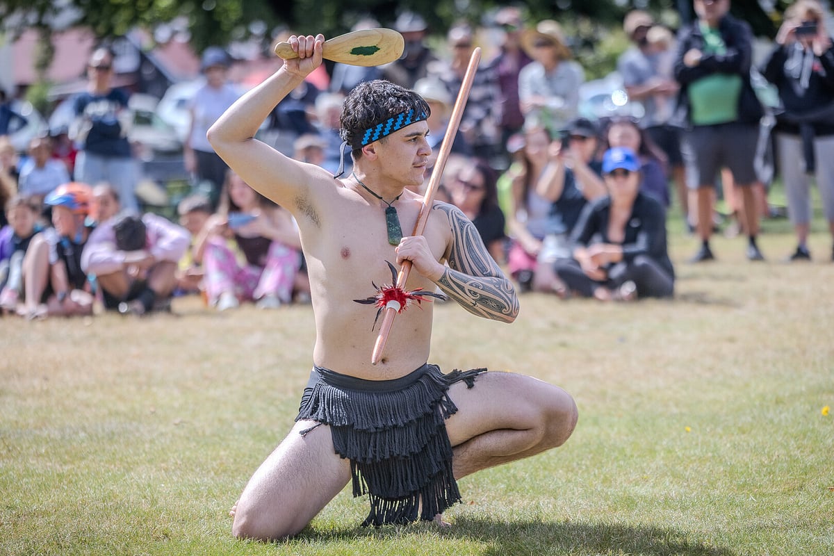 Te Anau Waitangi Charitable Trust logo