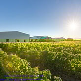 Rabbit Island and Old Coach Road