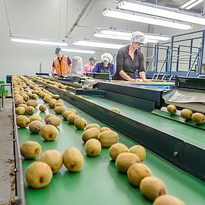 The Production Process