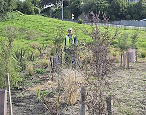 Planting the old RDA paddock