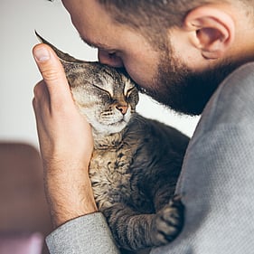 Caring for your pet – Wild Remedy – Natural Homeopathy Support For Your Animals – New Zealand