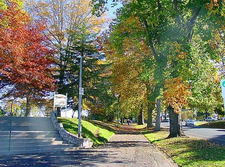 Victoria Square on the left, Victoria Street on the right, looking north, in Autumn.