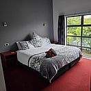 Spacious master bedroom of 14 Cologne Street with view of garden