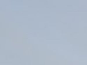 Turanga Christchurch