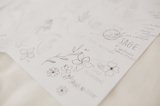 Image for blog post about the signs you need to rebrand. Pink & red colour with images of flower sketches.