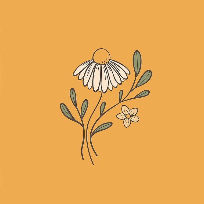 image of handdrawn flowers from Sage Intuition's logo. Image for Learn the meaning behind 9 key colours in branding blog by Creative Box, New Zealand.