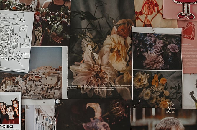 Blog written about creating a mood boards for your business brand. Creative Box. Waikato. New Zealand.