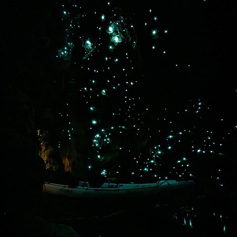 Kayak inside a glow worm cave, shimmering glow worms light up the cave providing a premium glow worms experience
