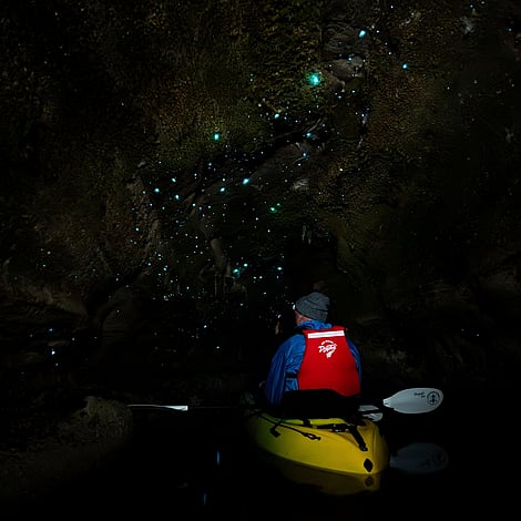 Inside the glow worm case