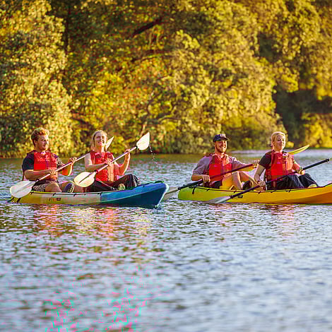 Kayaking under warm sunlight as dusk approaches, beginning our journey to experience the magical glow worms in their hidden lakeside caves
