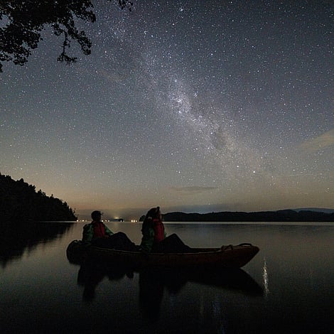 A 5 star once in a life time glow worm experience in Rotorua New Zealand 